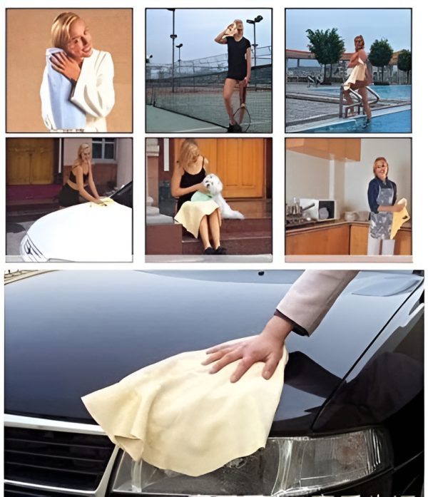 Clean-Cham-Absorbant-Car-Home-Cleaning